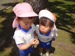 にこにこえがおみーつけた | 鶴山台国際幼稚園